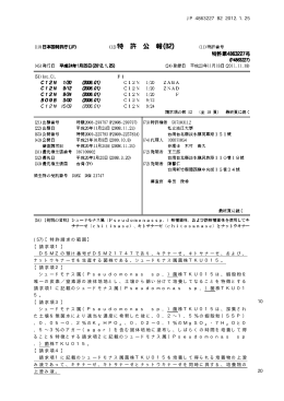 JP 4863227 B2 2012.1.25 10 20 (57)【特許請求の範囲】 【請求項1