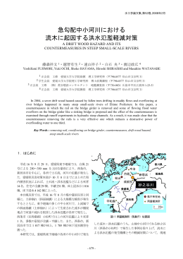 急勾配中小河川における 流木に起因する洪水氾濫軽減対策