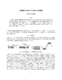 多層膜冷中性子干渉計の新展開