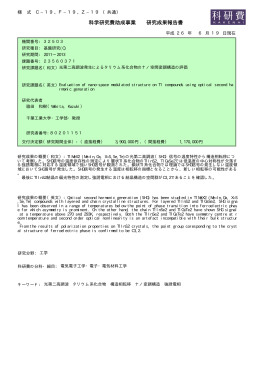 科学研究費助成事業 研究成果報告書 - KAKEN