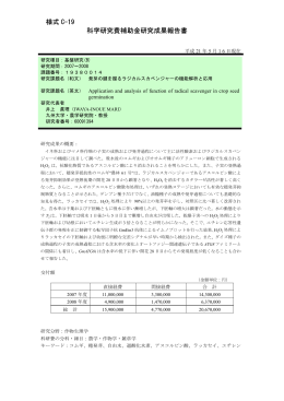 様式 C-19 科学研究費補助金研究成果報告書