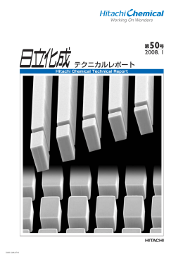 （2008年1月）(PDF形式、545kバイト)