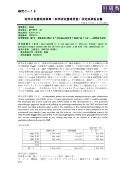 研究成果報告書 - KAKEN - 科学研究費助成事業データベース