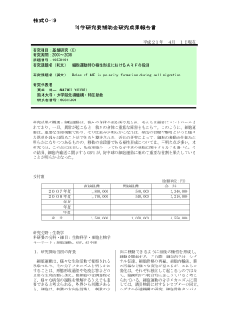 様式 C-19 科学研究費補助金研究成果報告書 - KAKEN