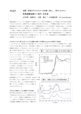 炭素被覆金属ナノ粒子 の生成