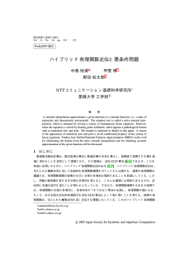 ハイブリッド有理関数近似と悪条件問題