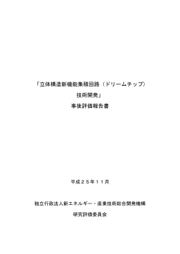 報告書 - 新エネルギー・産業技術総合開発機構