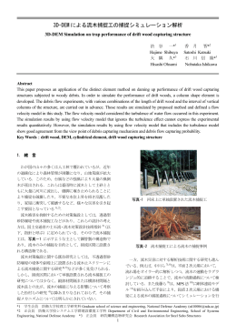 3D-DEM による流木捕捉工の捕捉シミュレーション解析