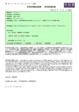科学研究費助成事業 研究成果報告書