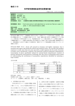 様式 C-19 科学研究費補助金研究成果報告書