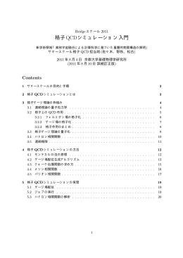 格子QCDシミュレーション入門
