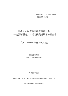 研究成果等の報告書