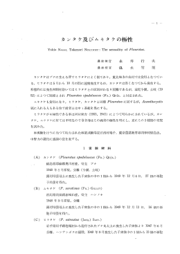 カンタケ及びムキタケの極性