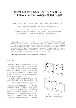 階段式魚道におけるプランジングフローと ストリーミング
