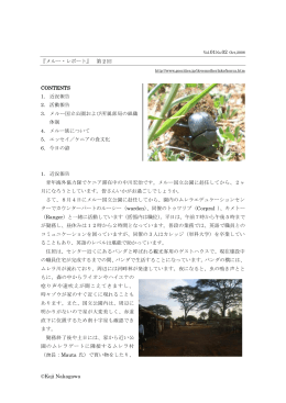 No.2(2008年10月