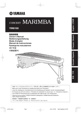 CONCERT MARIMBA YM6100 - Pdfstream.manualsonline.com