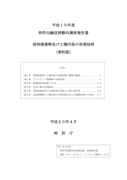 固体廃棄物及び汚染土壌の処理技術（13年度更新）（PDF：757KB）