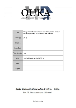 Title Study on Interface of Silicon Based