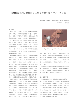 [B11]突き刺し動作による壁面移動小型ロボットの研究