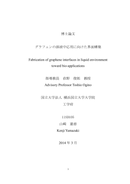 博士論文 グラフェンの溶液中応用に向けた界面構築