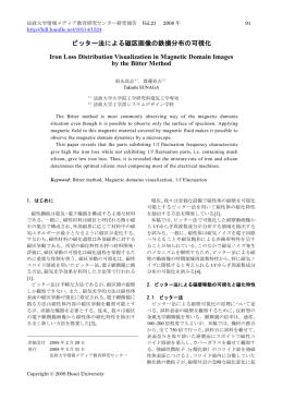 ビッター法による磁区画像の鉄損分布の可視化 Iron Loss Distribution