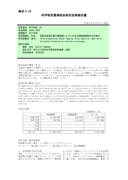 様式 C-19 科学研究費補助金研究成果報告書