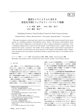 固定カメラシステムに対する 安定化予測ビジュアル