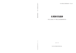 北堀新田遺跡 (PDF：19.7MB)