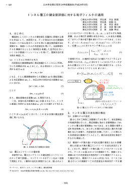 トンネル覆工の健全度評価に対する粒子フィルタの適用