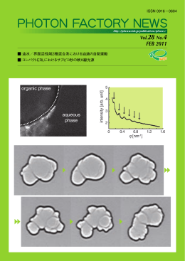 Vol.28 No.4 FEB 2011 - PF photon factory