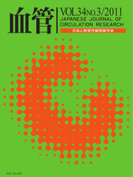 血管 - 三重大学大学院医学系研究科薬理ゲノミクスHP