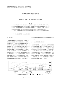 広域海浜流の観測と定式化