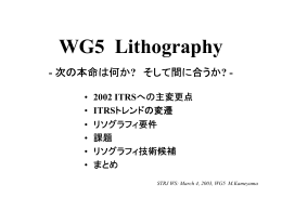 Lithography WG「次の本命は何か？ そして間に合うか？」
