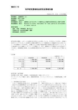 様式 C-19 科学研究費補助金研究成果報告書 - KAKEN