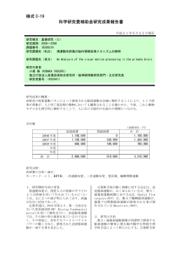 様式 C-19 科学研究費補助金研究成果報告書