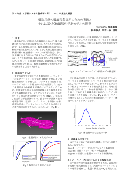 構造用鋼の破壊現象究明のための実験と それに基づく