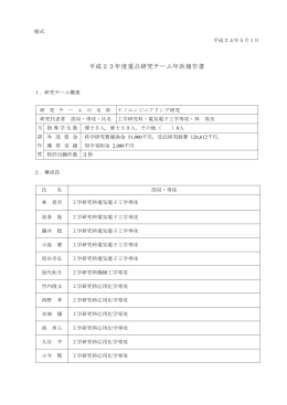平成23年度重点研究チーム年次報告書