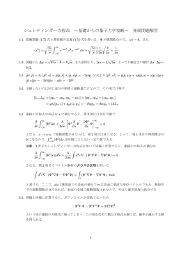 発展問題解答（pdf）