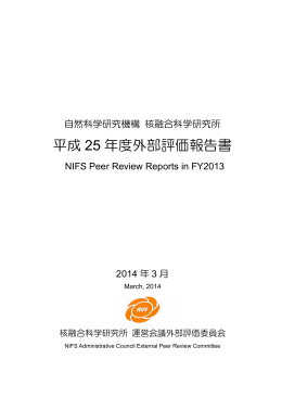 平成 25 年度外部評価報告書