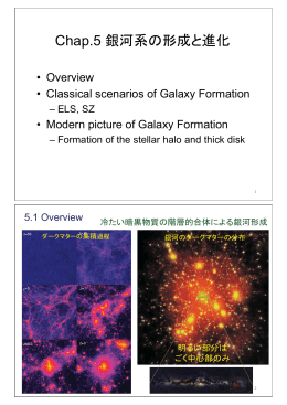 Chap.5 Formation of the Galaxy