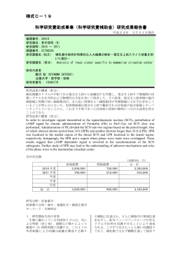 （ 科学研究費助成事業（科学研究費補助金）研究成果報告書