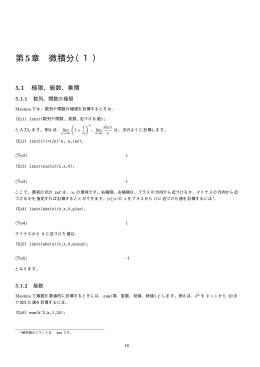 第5章 微積分（1）