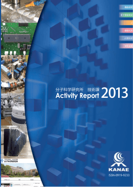 Activity Report 2013