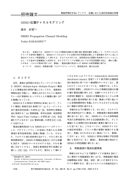 招待論文 - 唐沢研究室