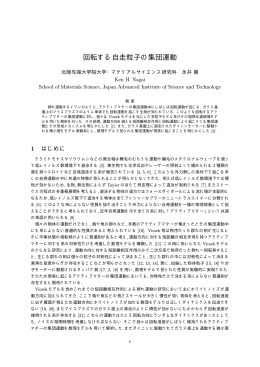 回転する自走粒子の集団運動 (生物流体力学における計測問題)
