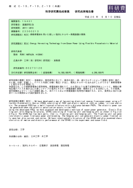 科学研究費助成事業 研究成果報告書 - KAKEN