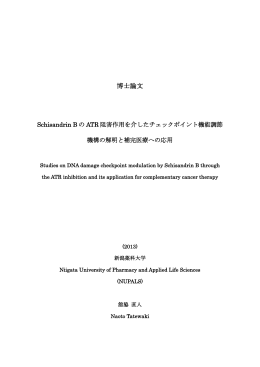 3 博士学位論文 (2013) Tatewaki