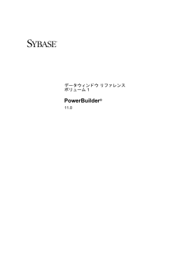 データウィンドウ リファレンス ボリューム 1