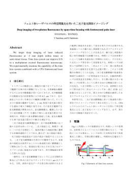 フェムト秒レーザパルスの時空間集光を用いた二光子蛍光深部