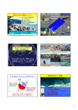 海浜の安全利用資料（横浜） - 鹿児島大学水産学部海岸環境工学研究室